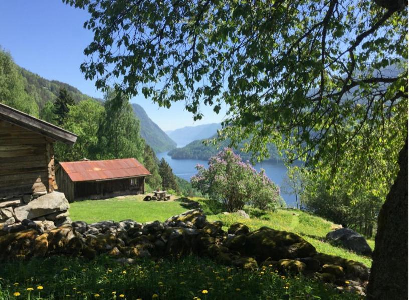 Dalen I Telemark Holiday Home With Garden Exterior photo